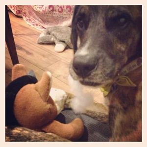 Every time Atreyu pulls out some stuffing, I feel a little less like I got kicked in the ovaries.